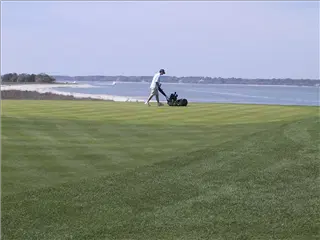 small_172-7227_IMG (4).webp